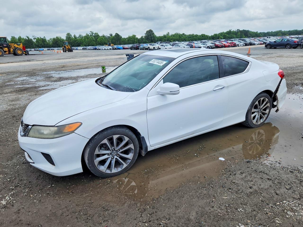 Salvage Honda Accord Image