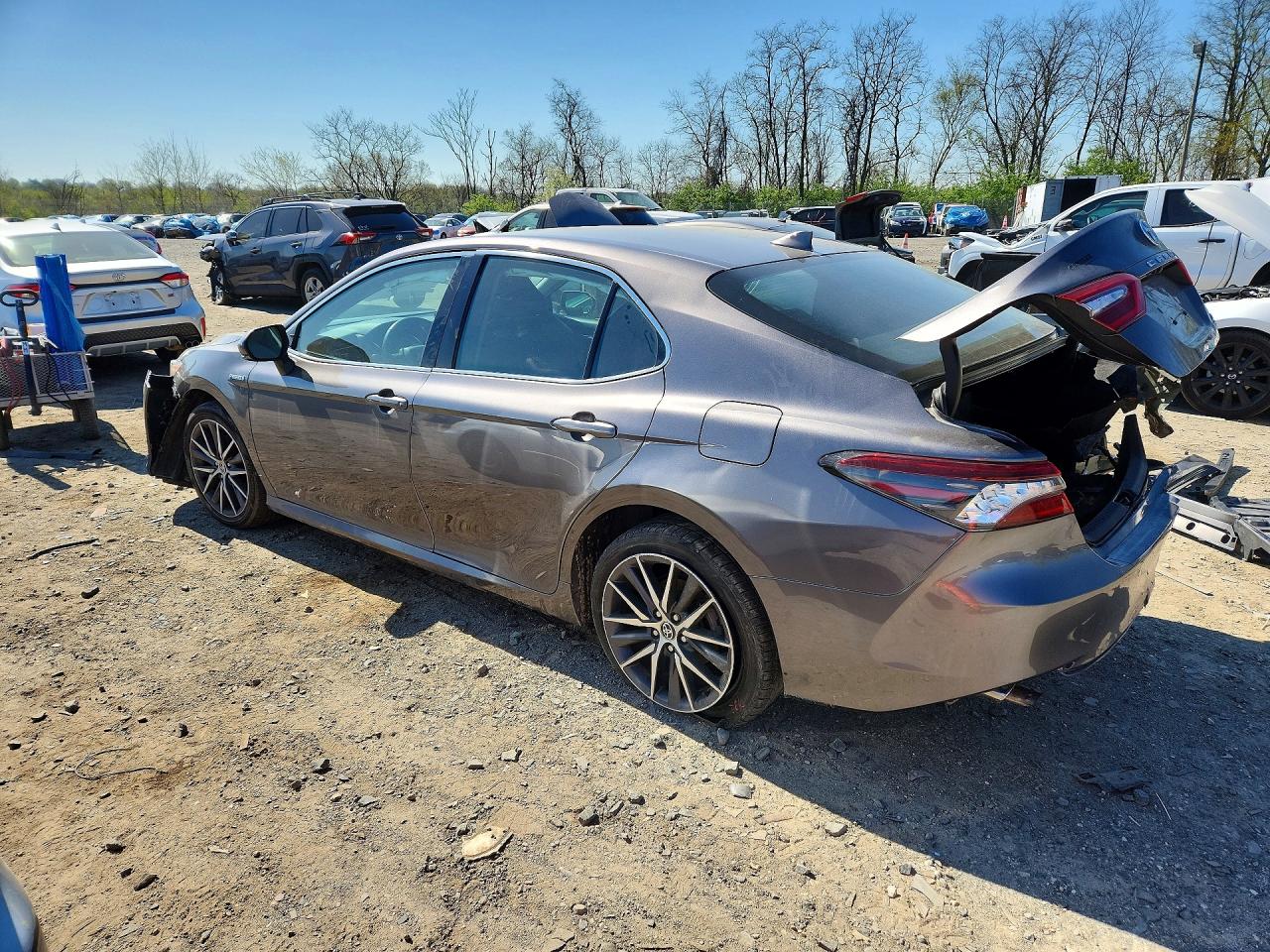 Toyota Camry Xle