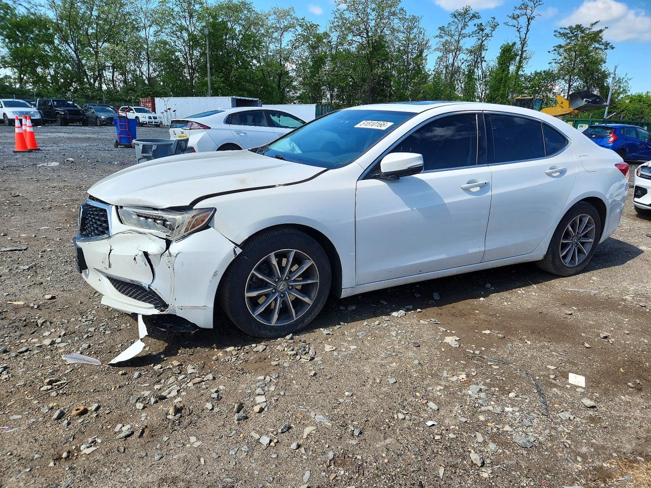 Salvage Acura TLX Image