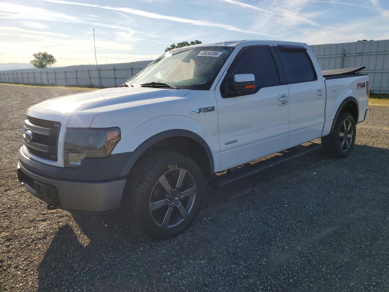 Salvage Ford F-150 Image