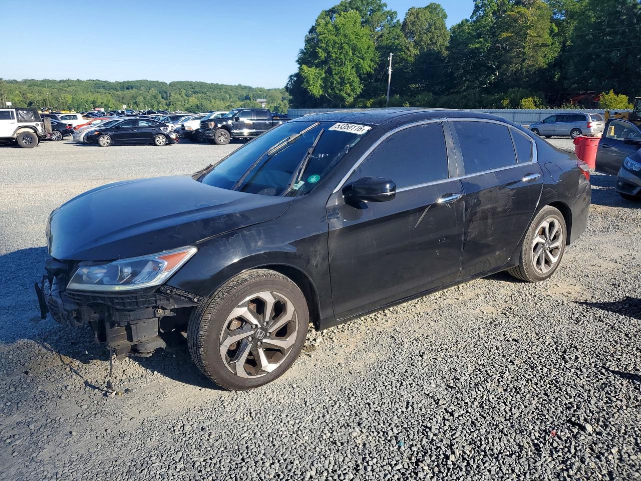Salvage Honda Accord Image