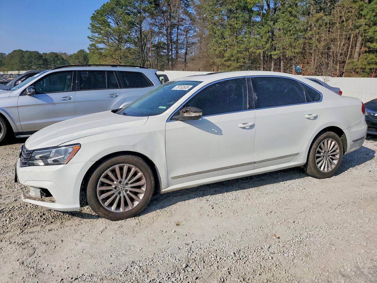 Salvage Volkswagen Passat Image
