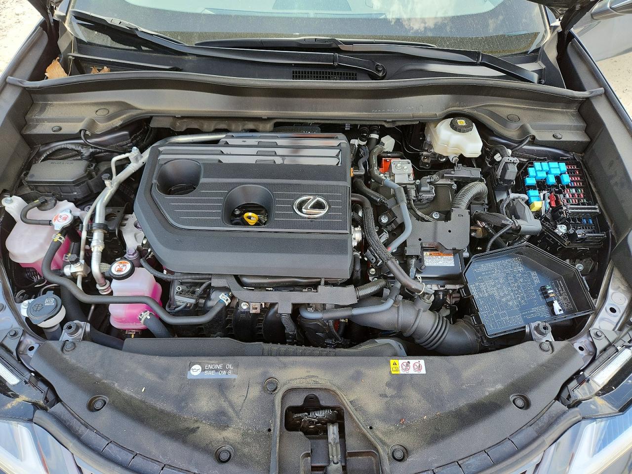 Lexus Other Premium