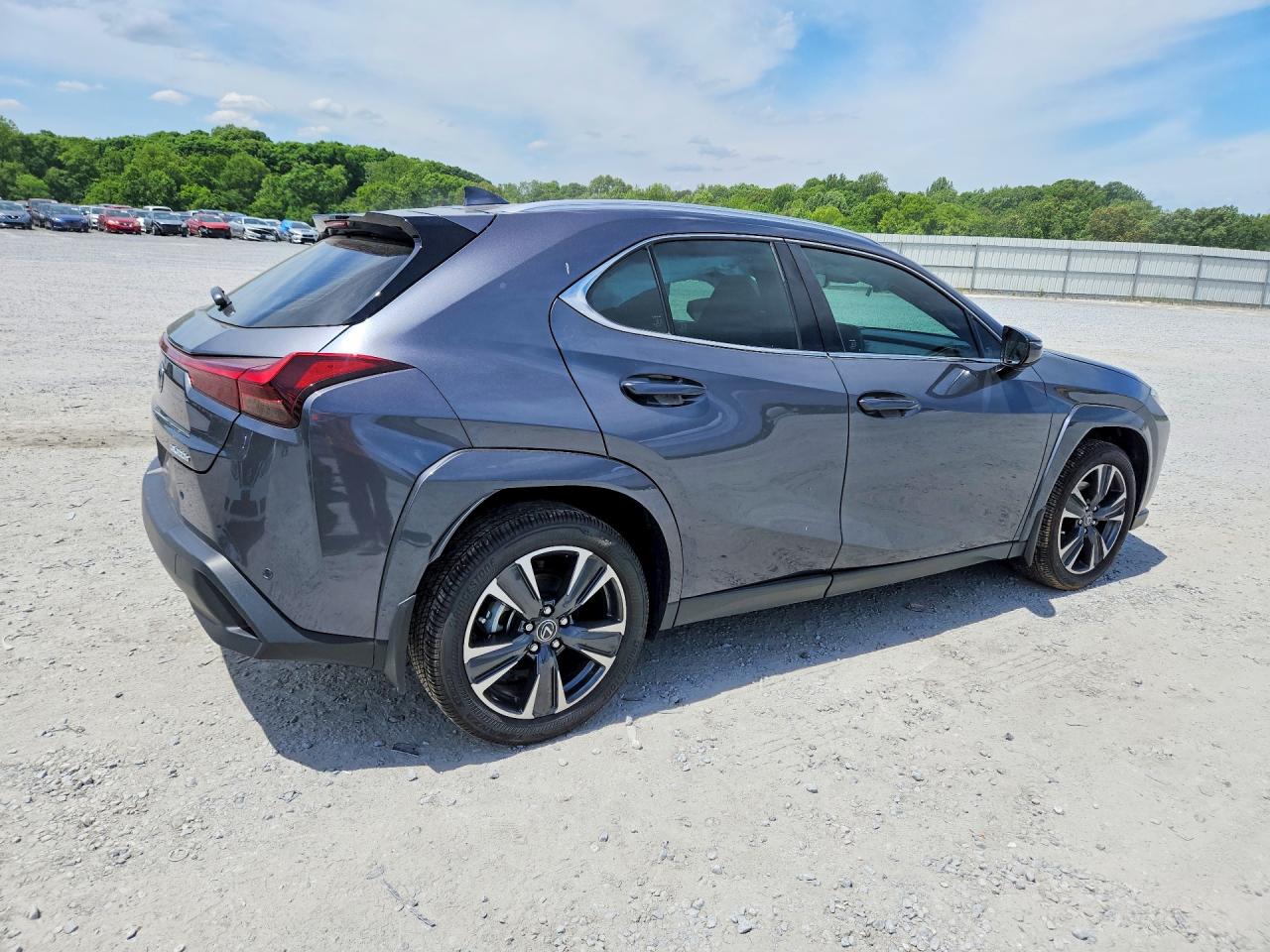 Lexus Other Premium