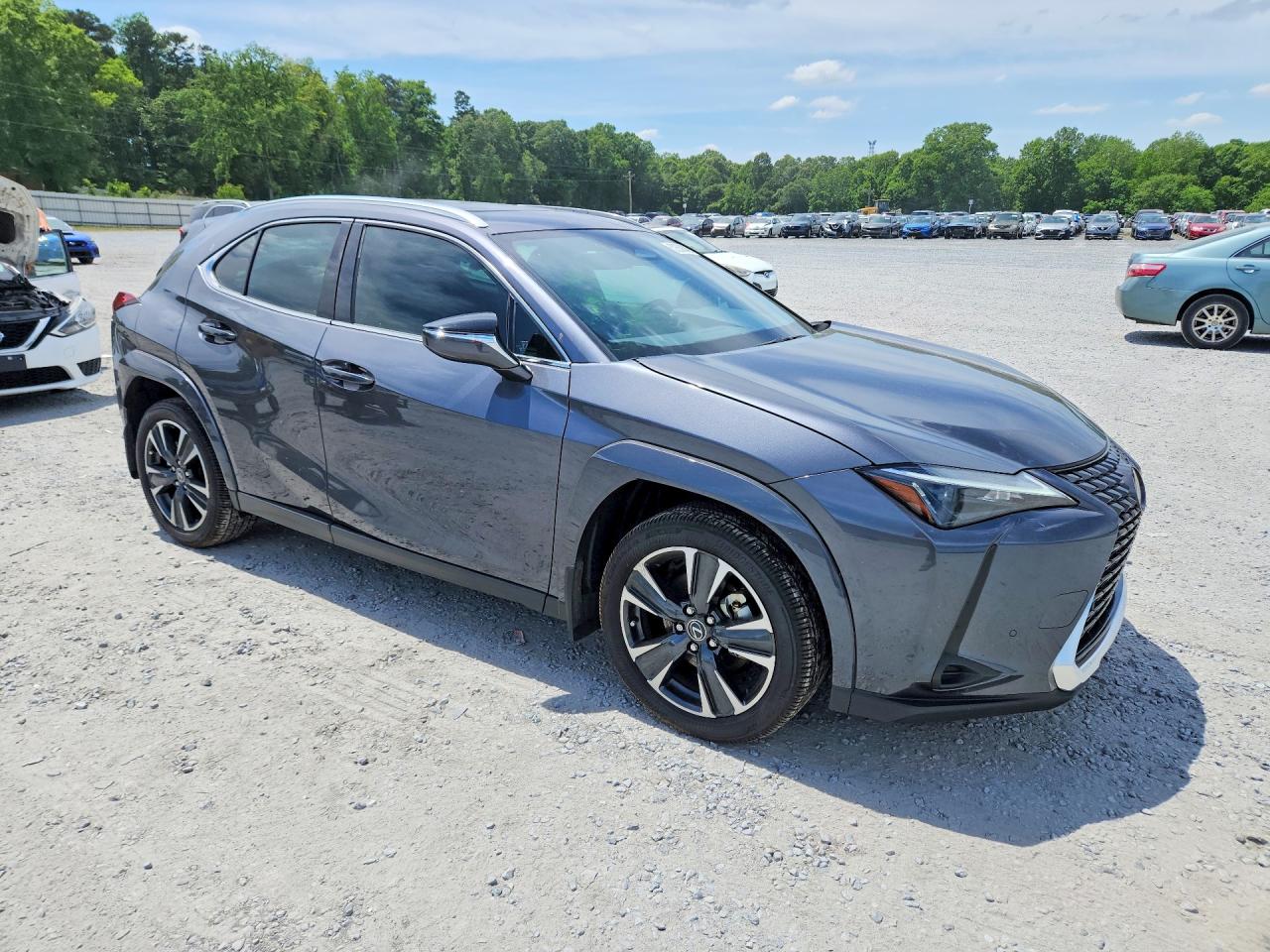 Lexus Other Premium