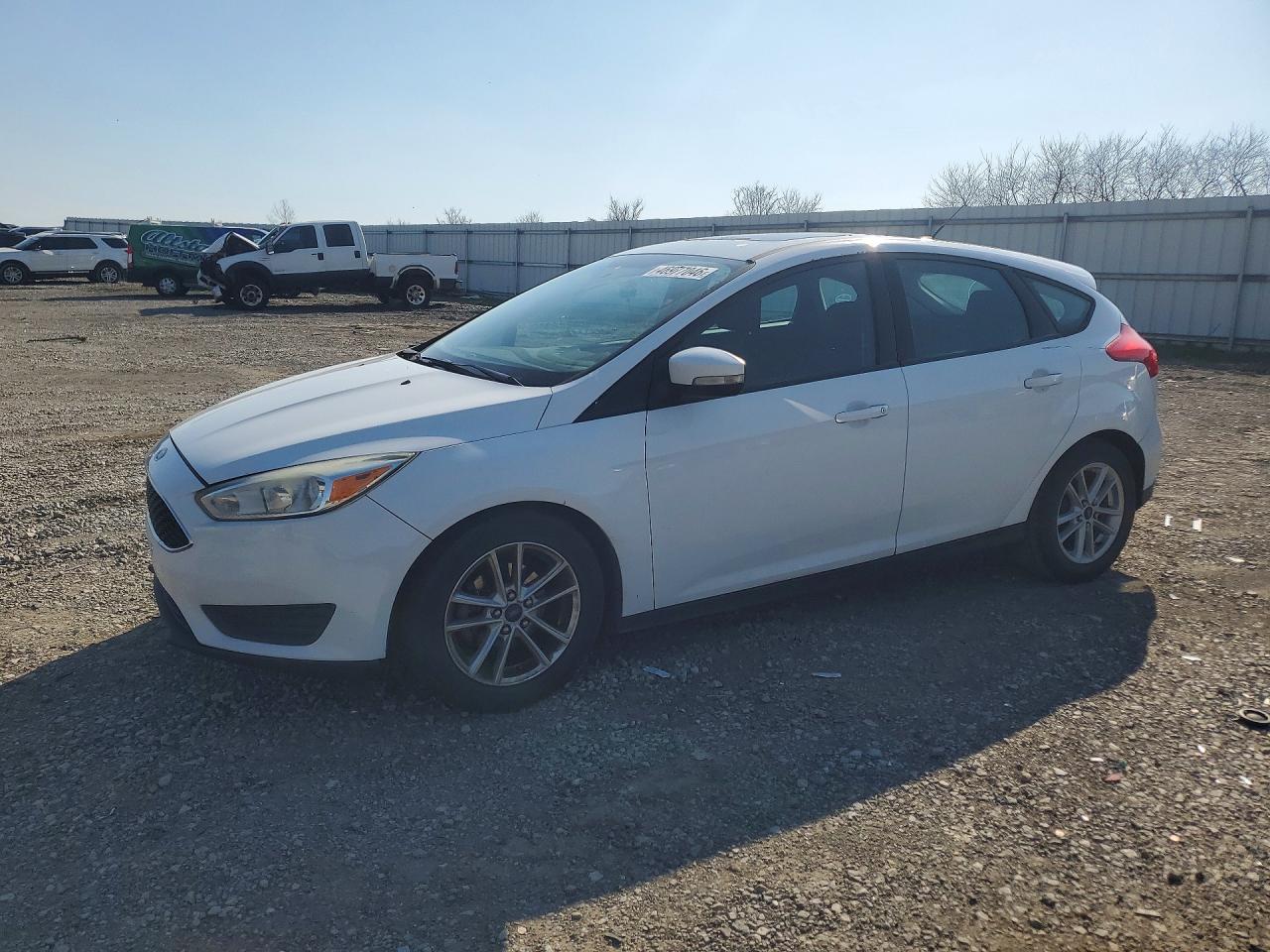 Salvage Ford Focus Image