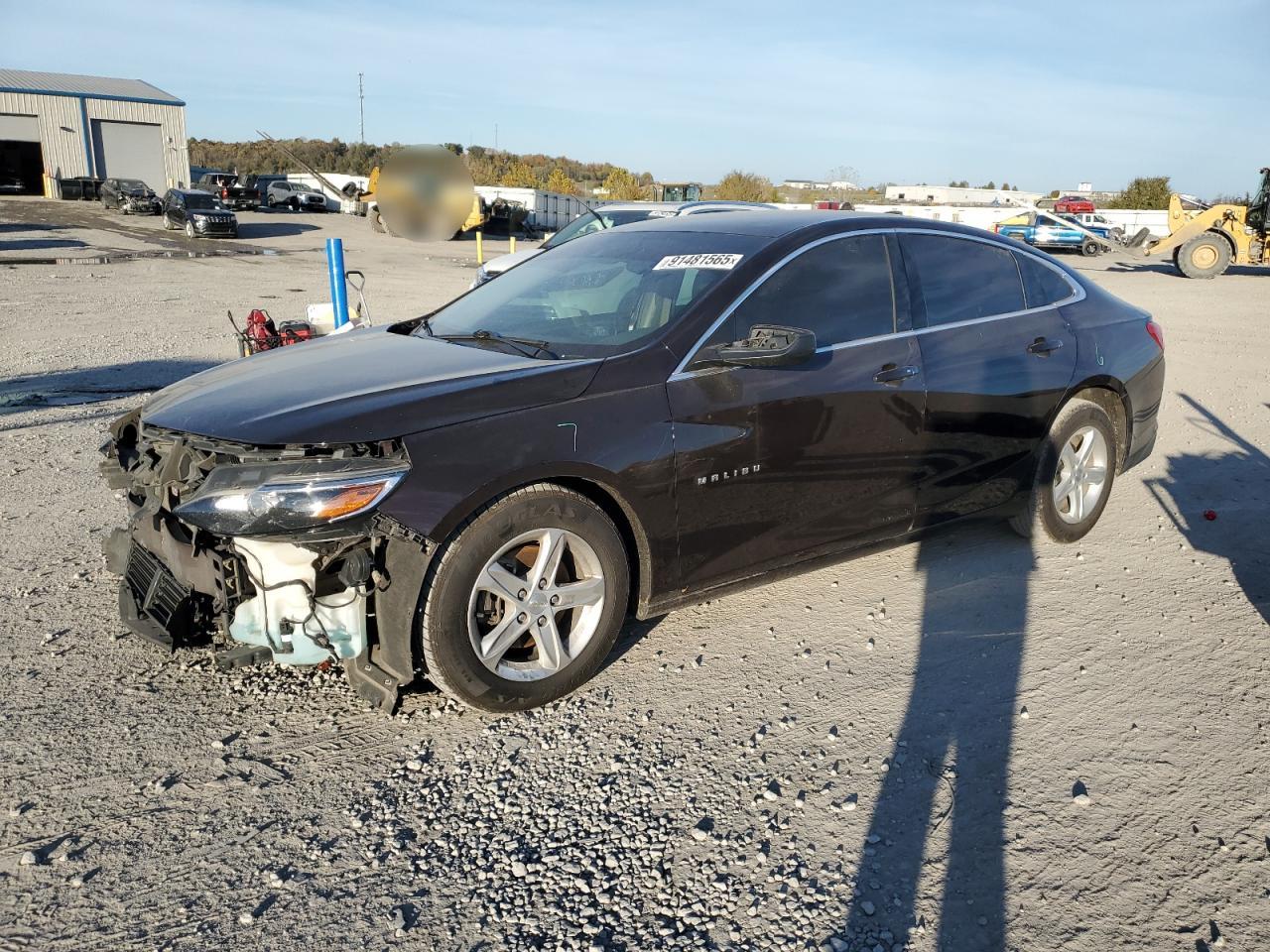 Salvage Chevrolet Malibu Image