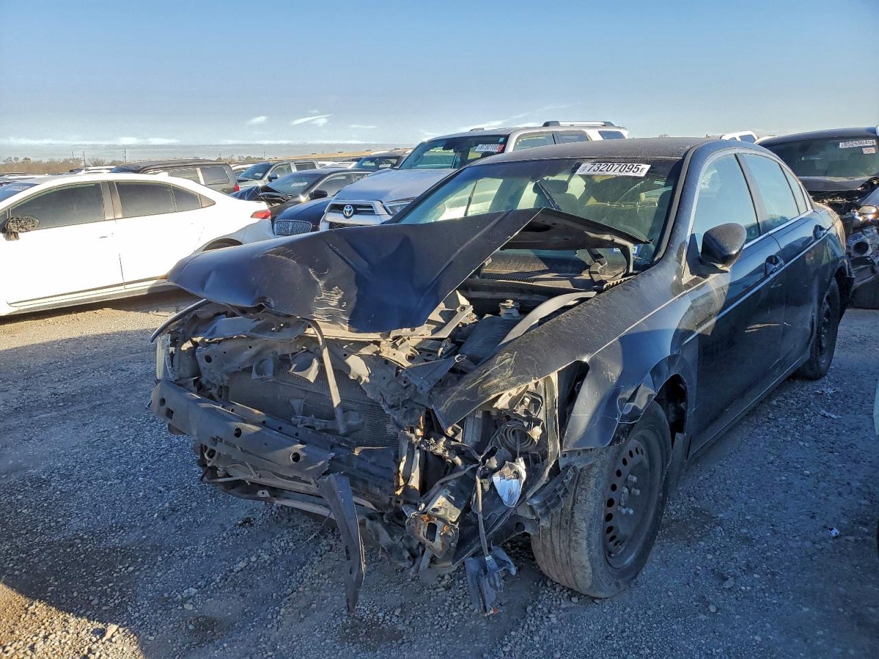 Salvage Honda Accord Image