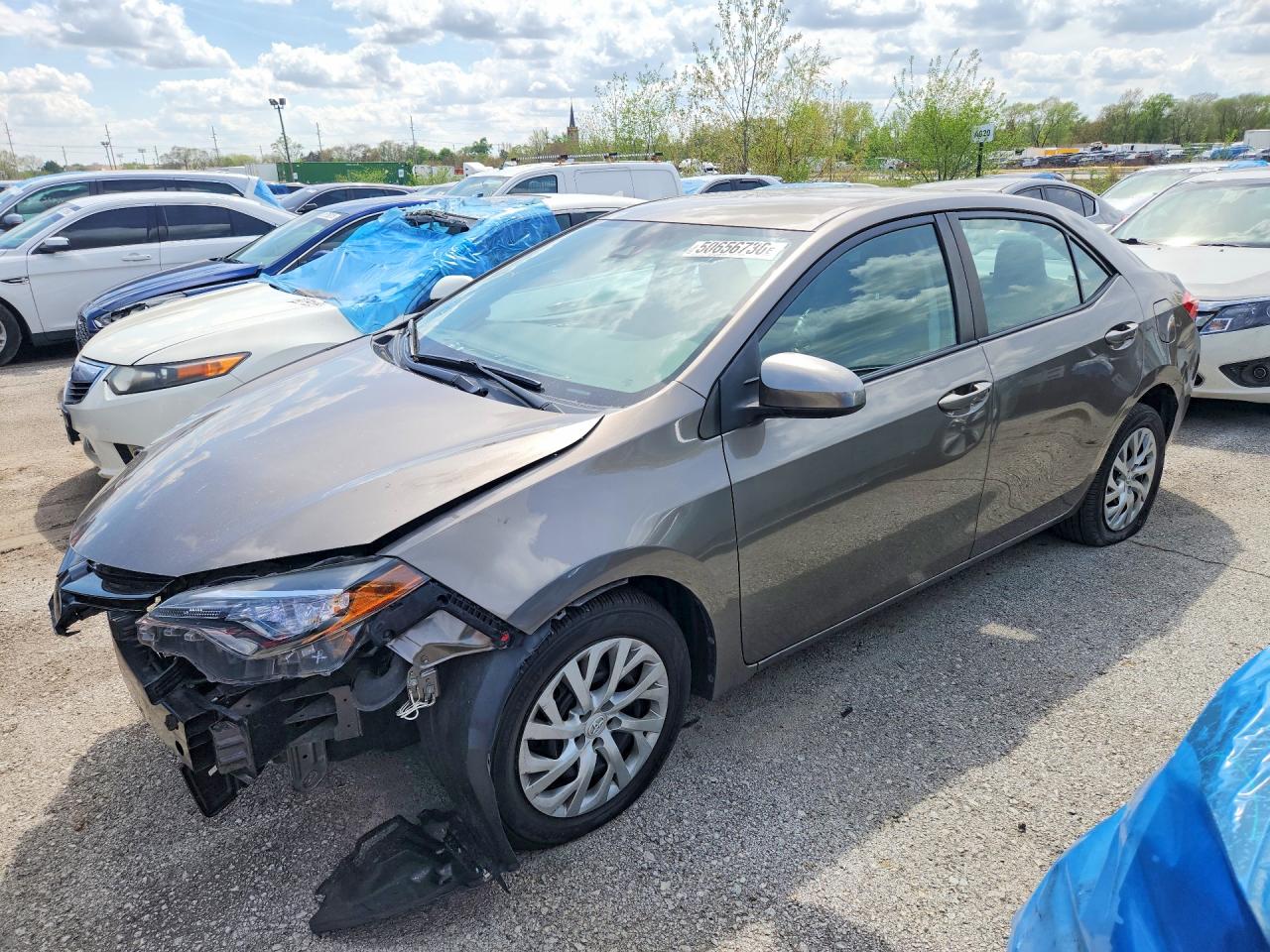 Salvage Toyota Corolla Image