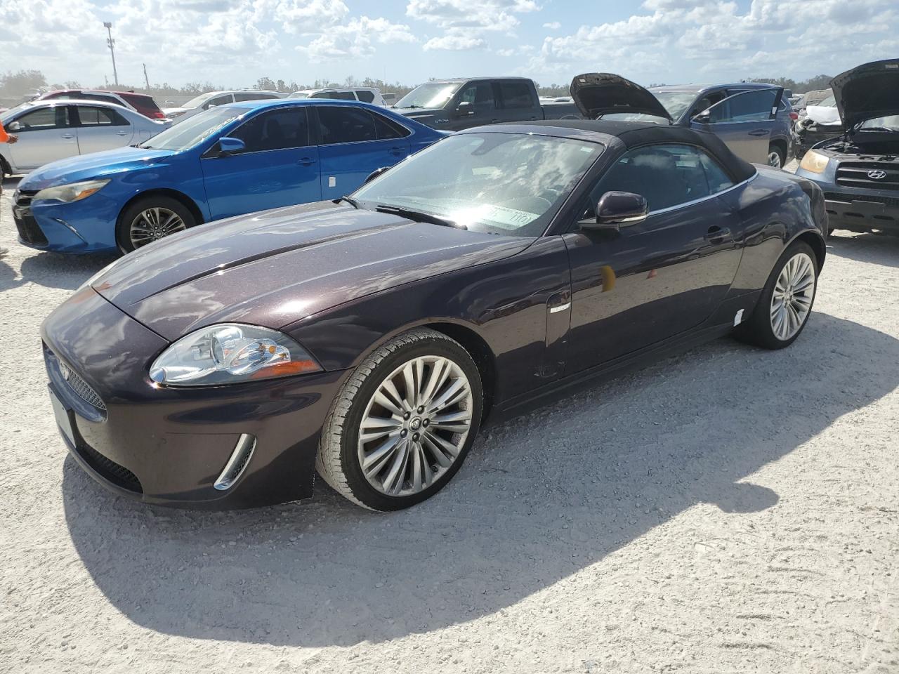 Salvage Jaguar XK Image