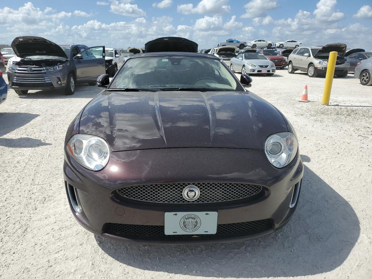 Jaguar XK