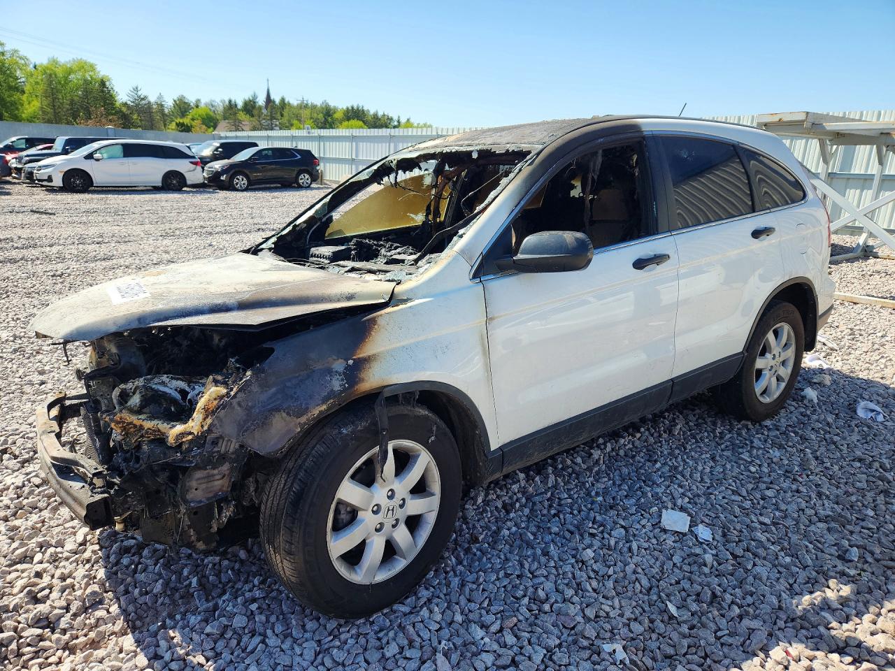 Salvage Honda Crv Image