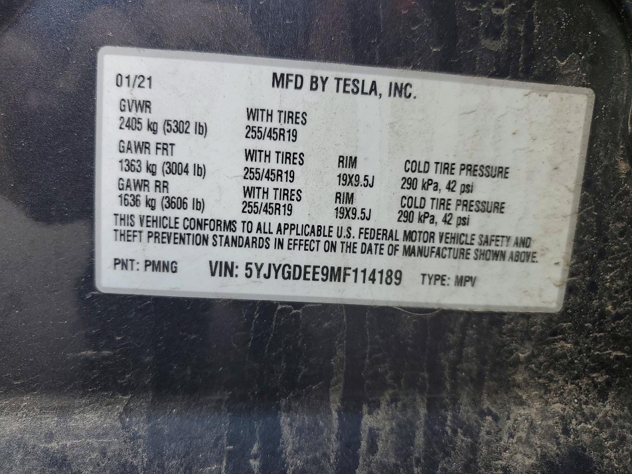 Tesla Model Y