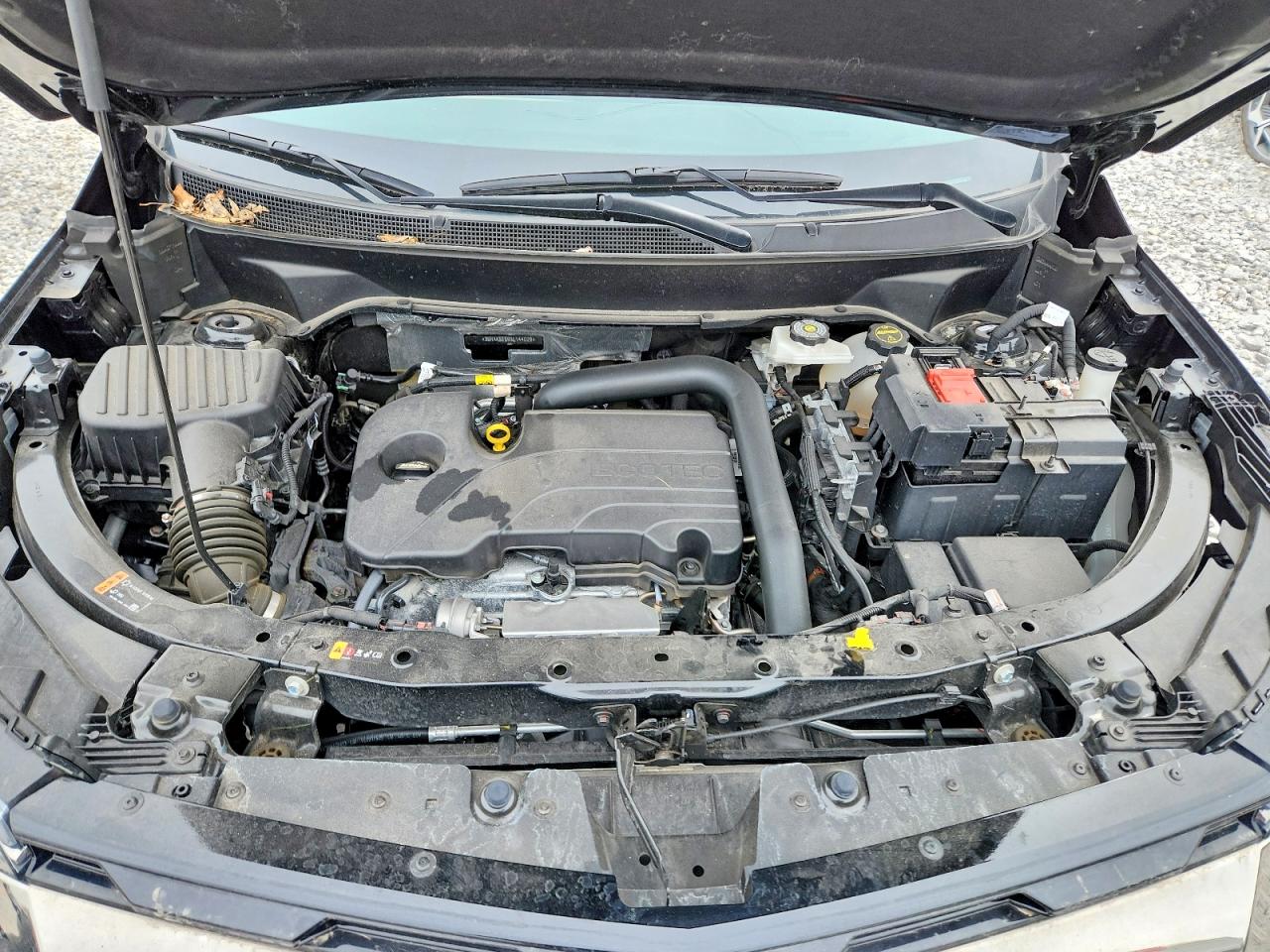 Chevrolet Equinox Activ
