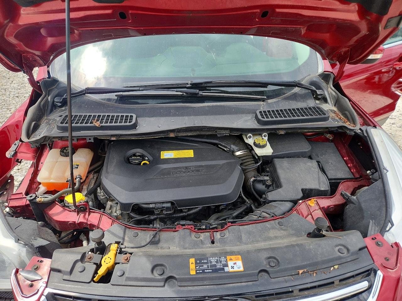 Ford Escape Sel