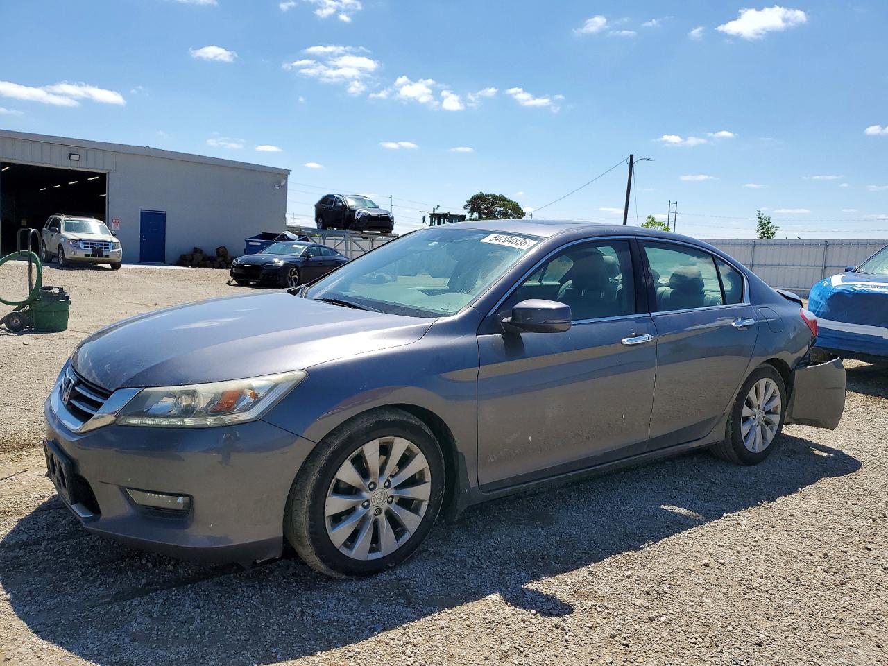 Salvage Honda Accord Image