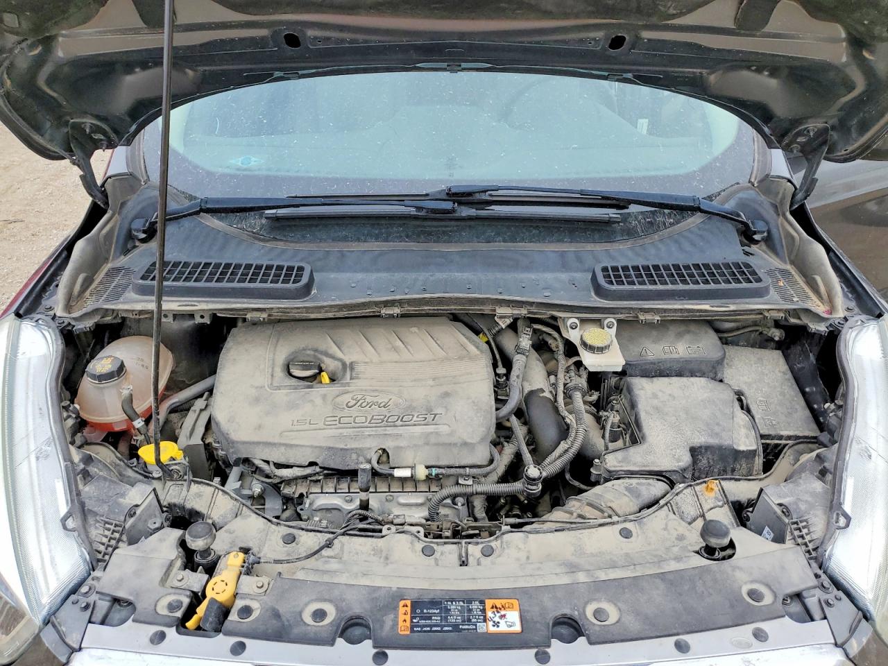 Ford Escape Se