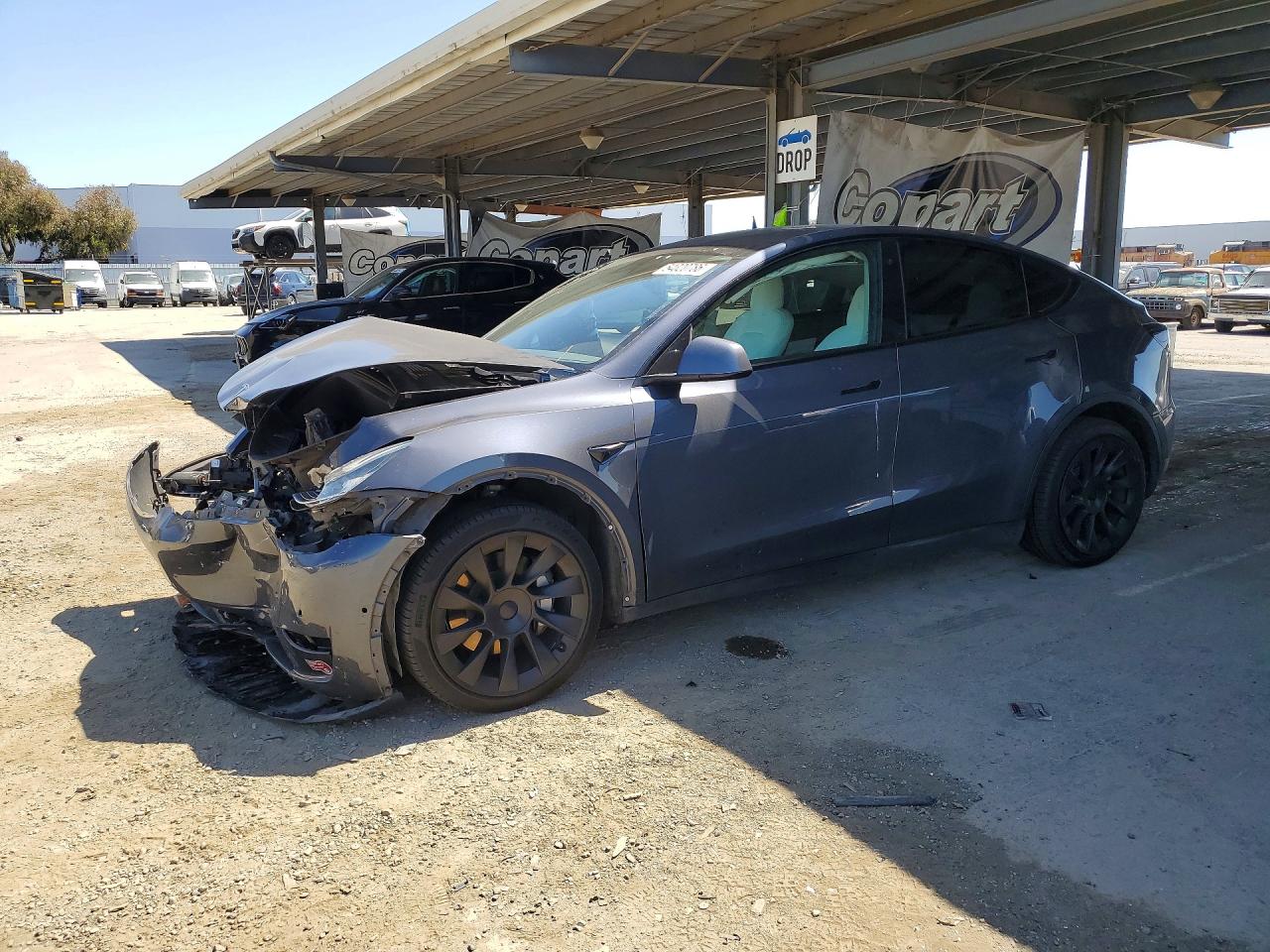 Salvage Tesla Model Y Image