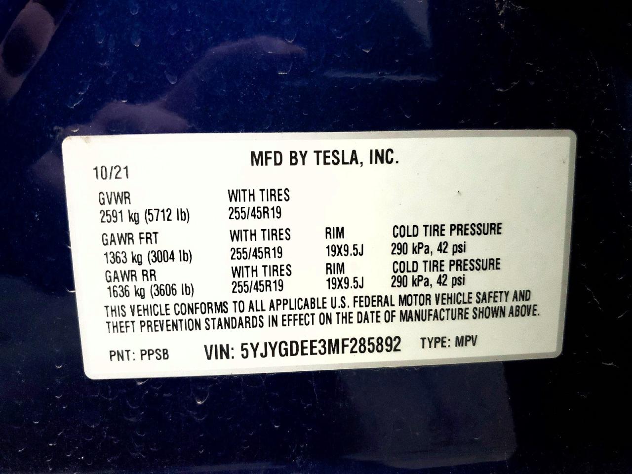Tesla Model Y
