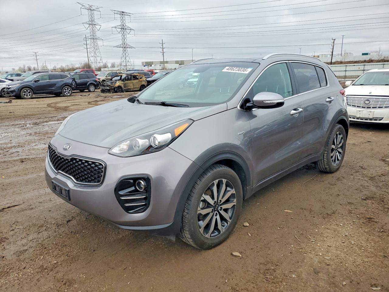 Salvage Kia Sportage Image