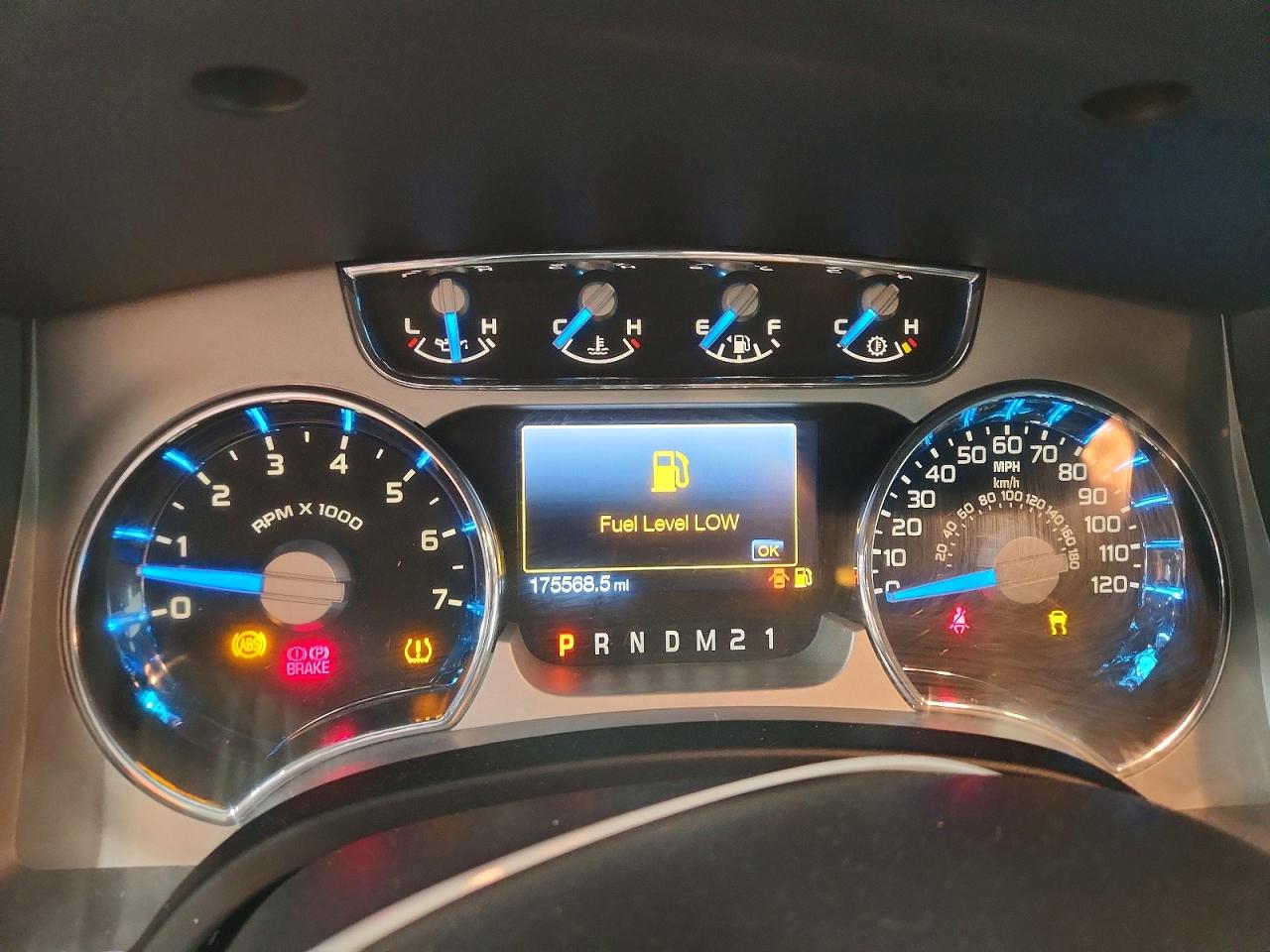 Ford Other Platinum