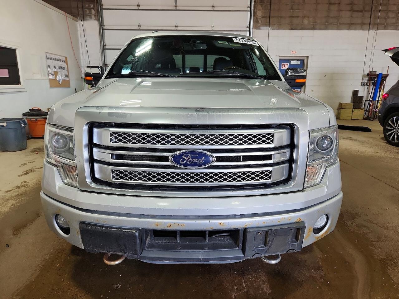 Ford Other Platinum