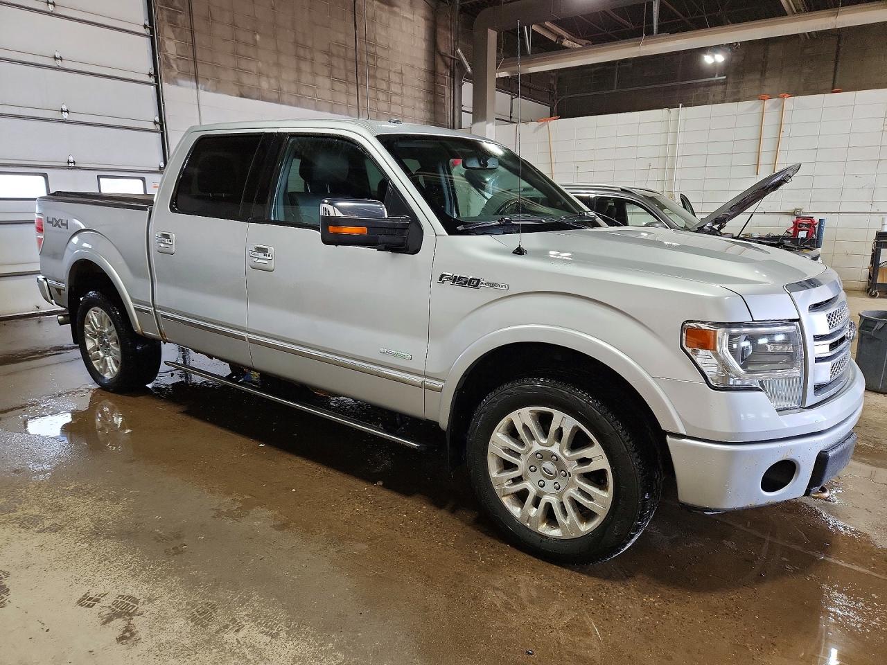 Ford Other Platinum