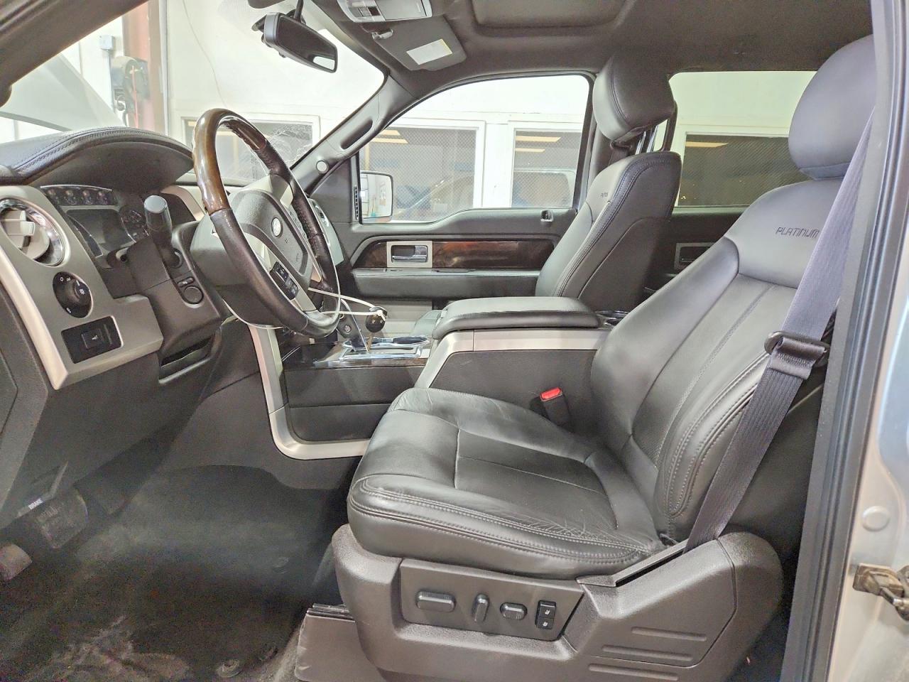 Ford Other Platinum