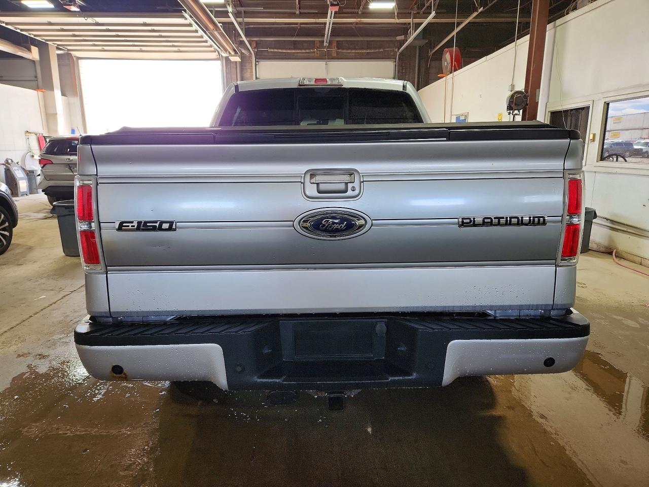 Ford Other Platinum