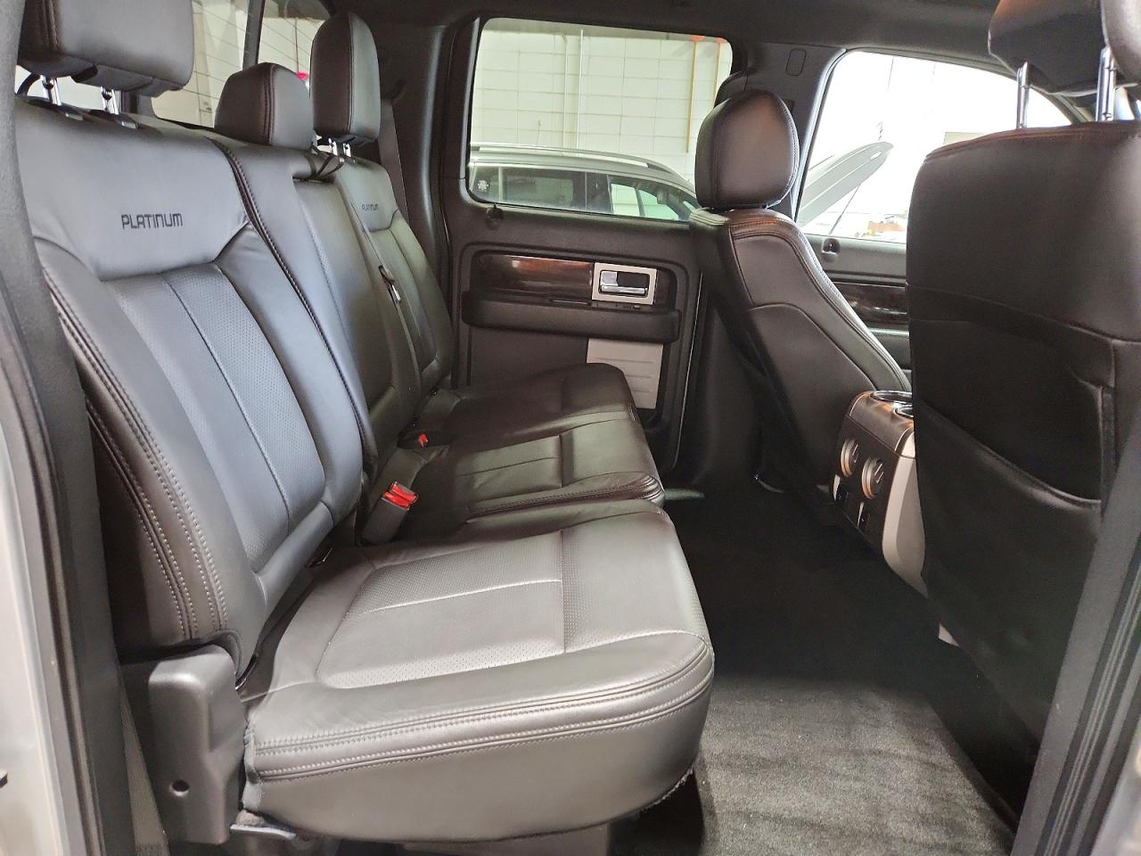 Ford Other Platinum