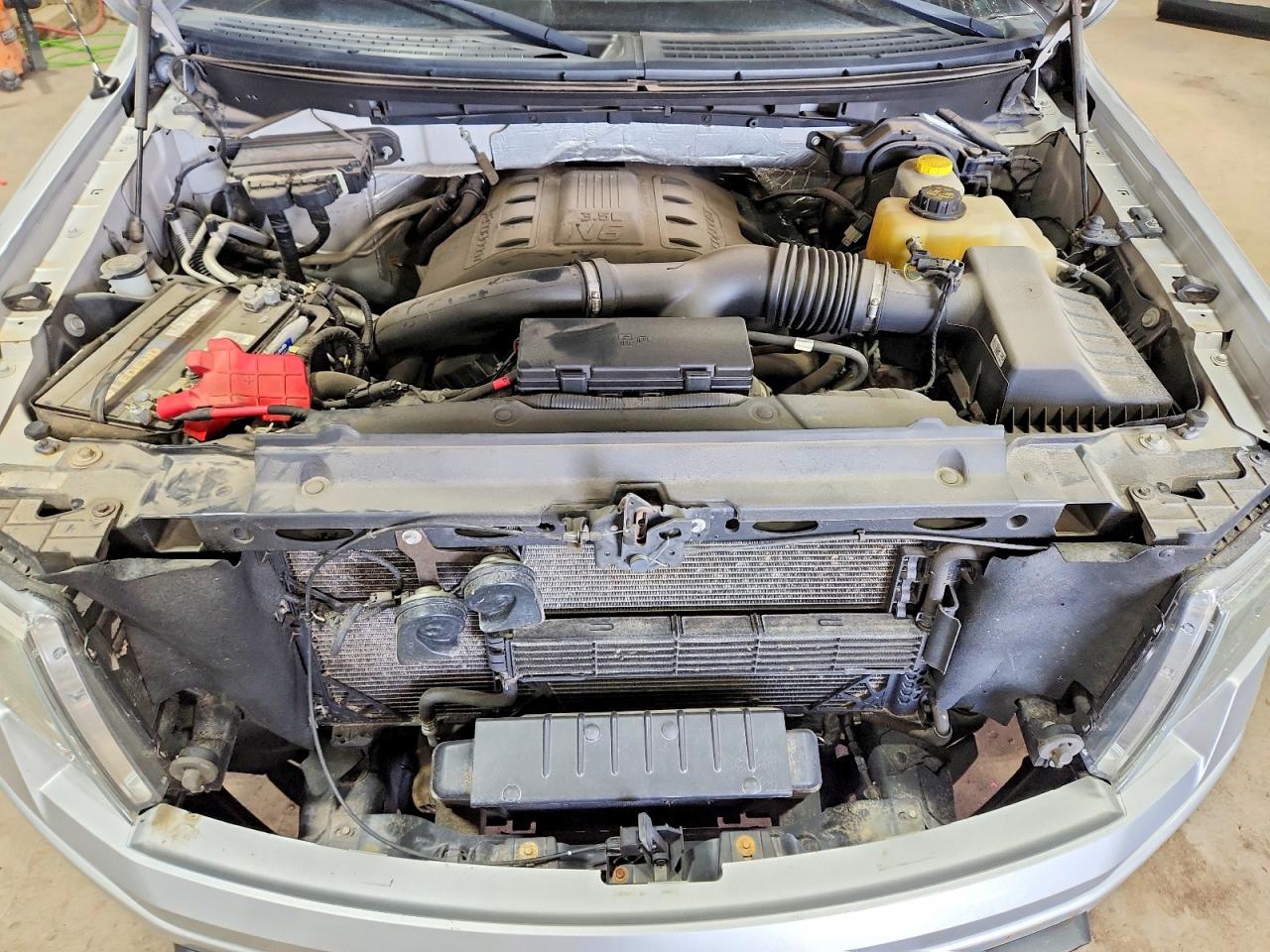 Ford Other Platinum