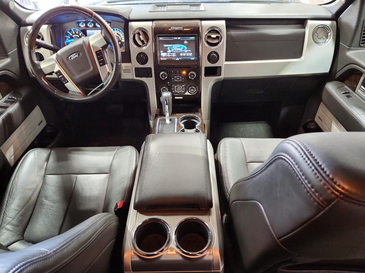 Ford Other Platinum