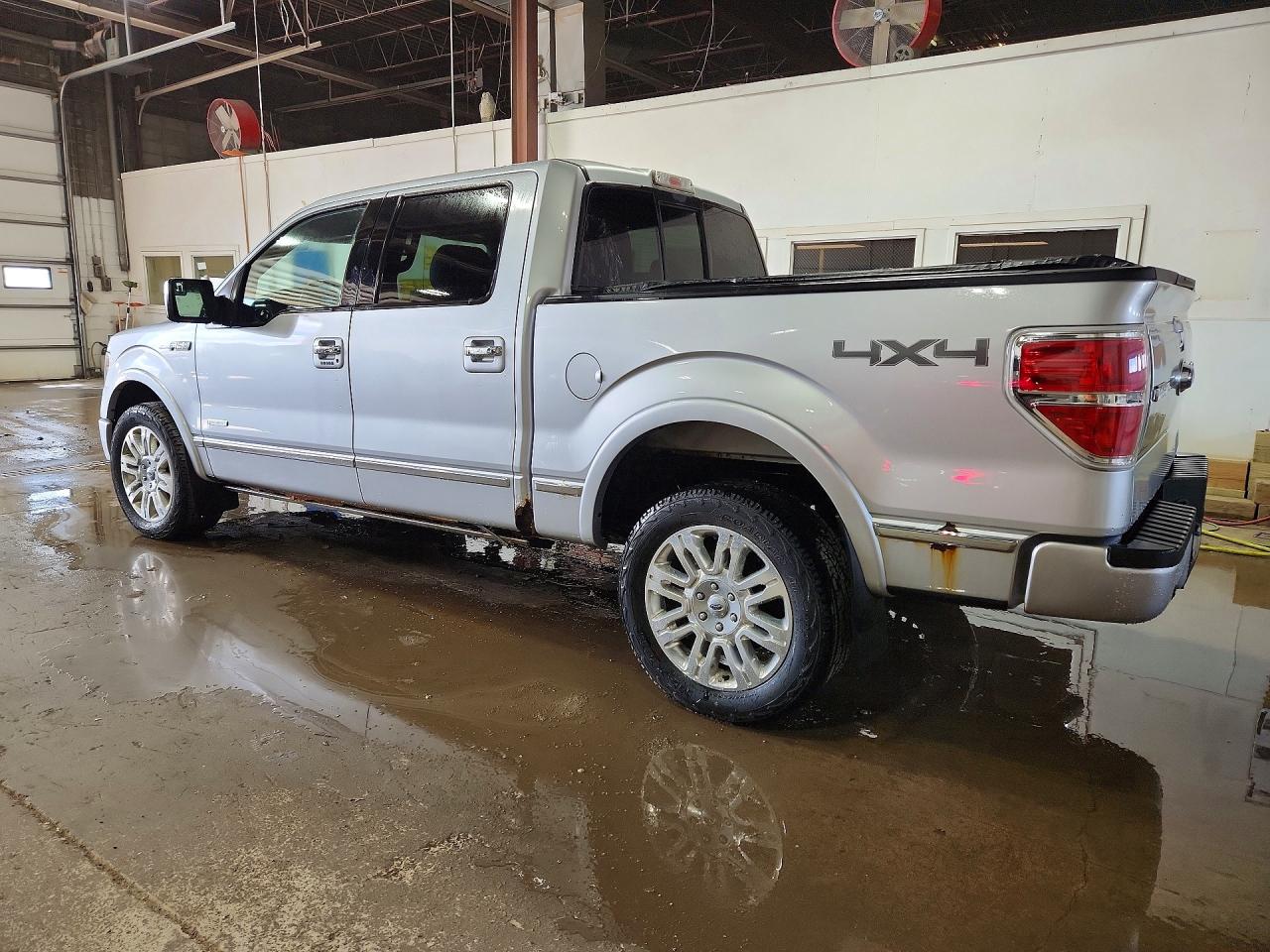 Ford Other Platinum