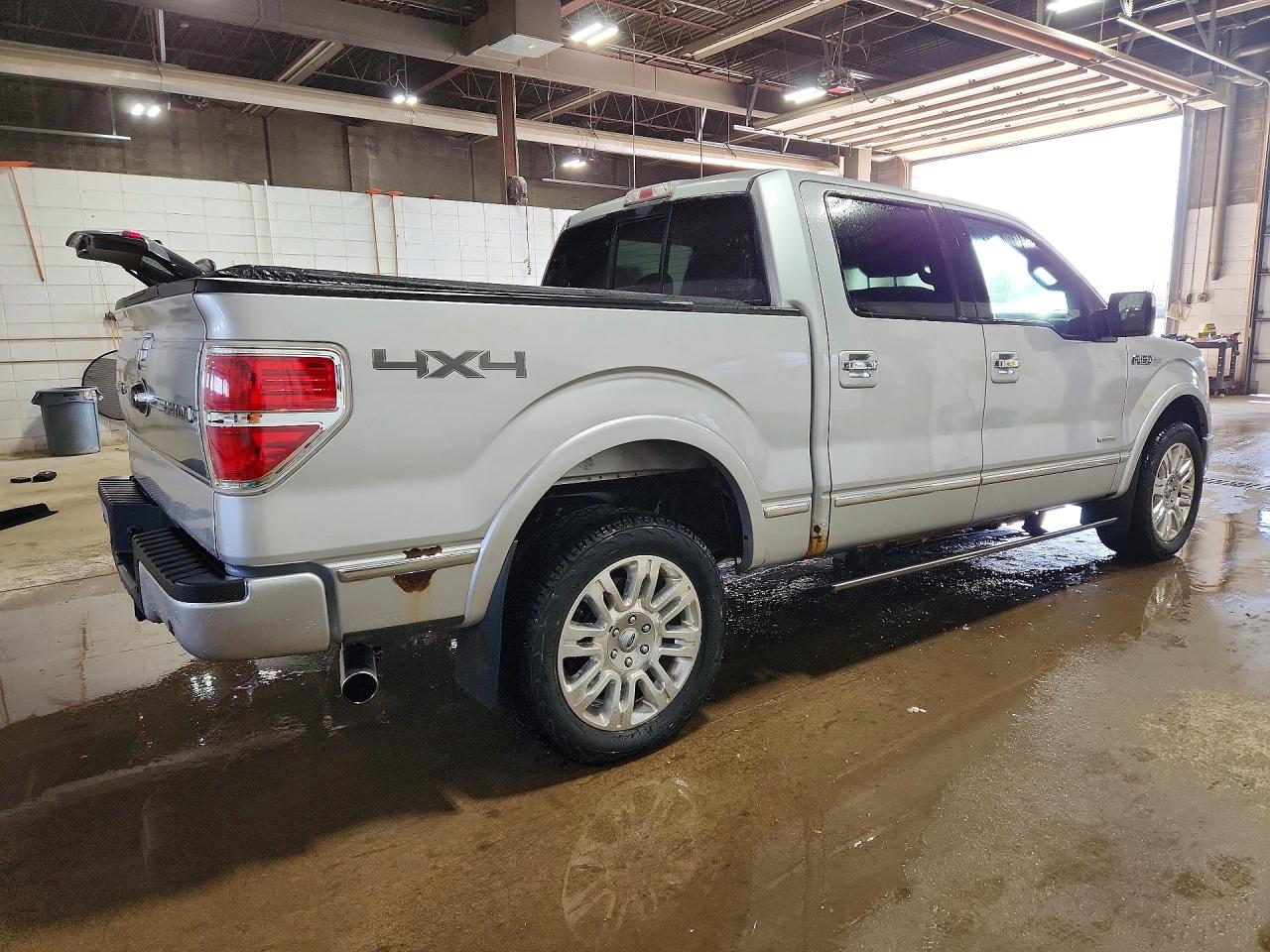 Ford Other Platinum