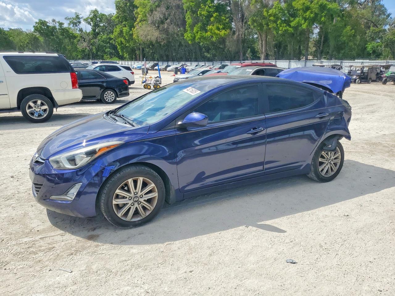 Salvage Hyundai ELANTRA Image