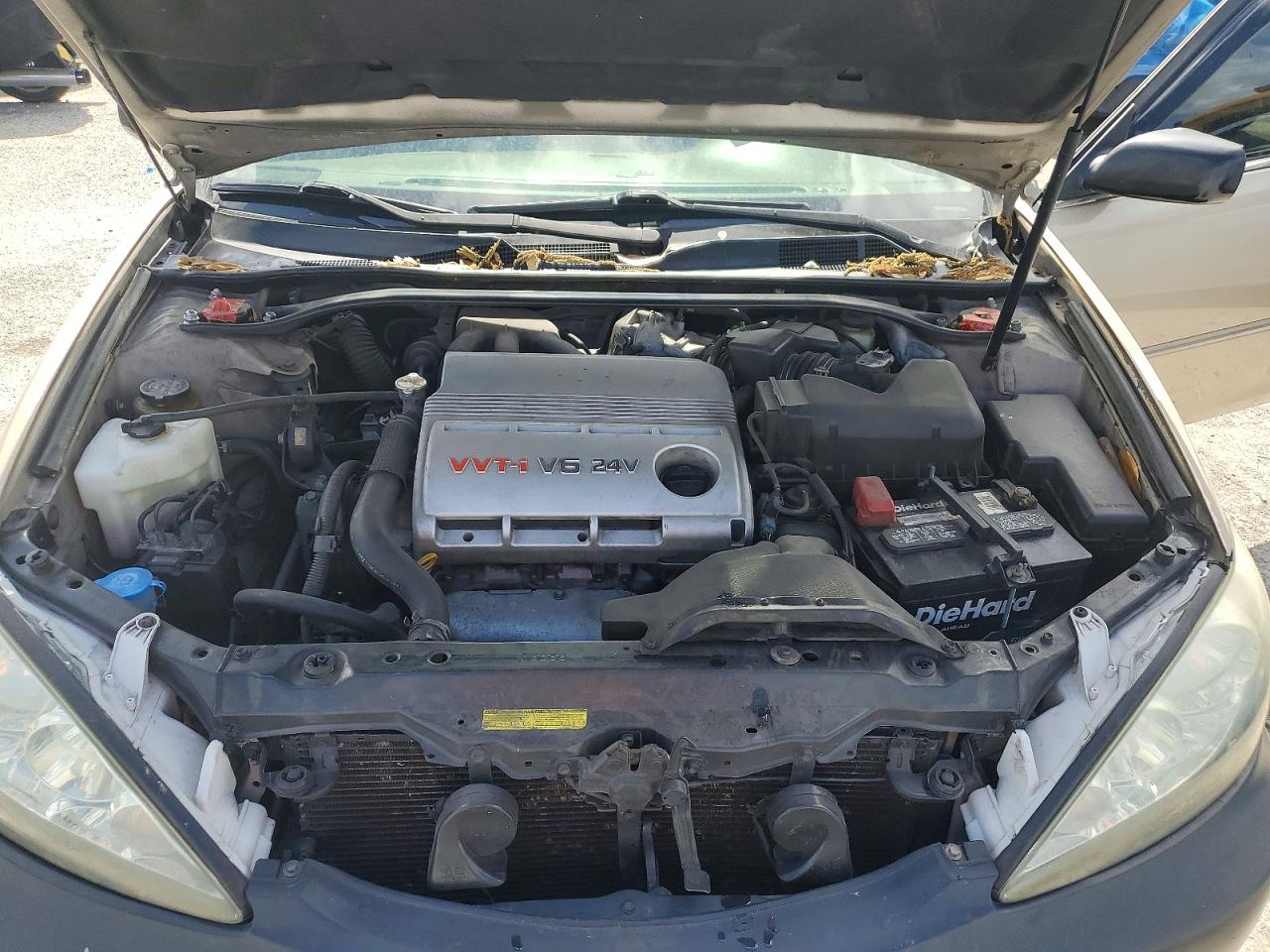 Toyota Camry Xle V6