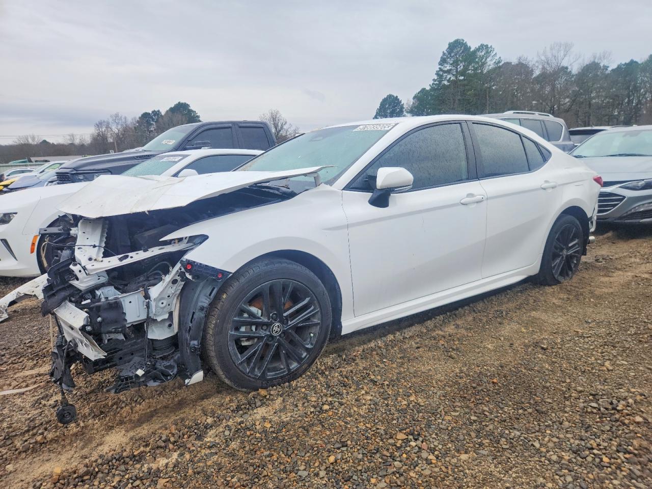 Salvage Toyota Camry Image