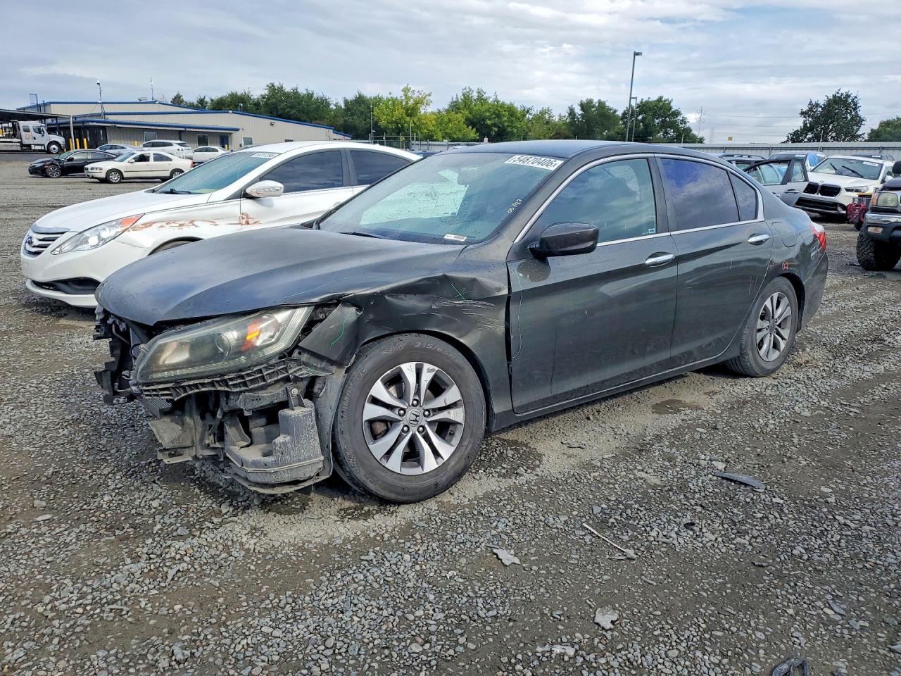 Salvage Honda Accord Image