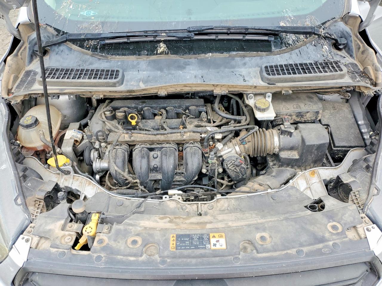 Ford Escape S
