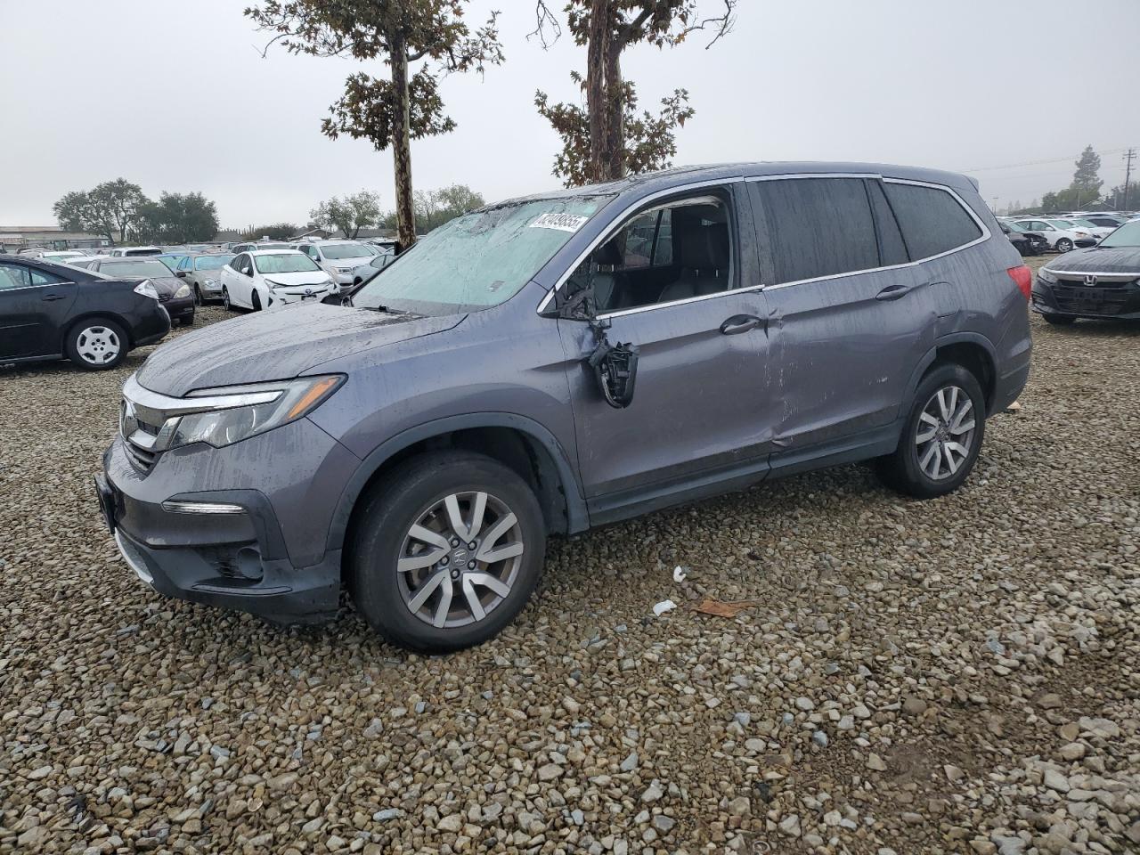 Salvage Honda Pilot Image