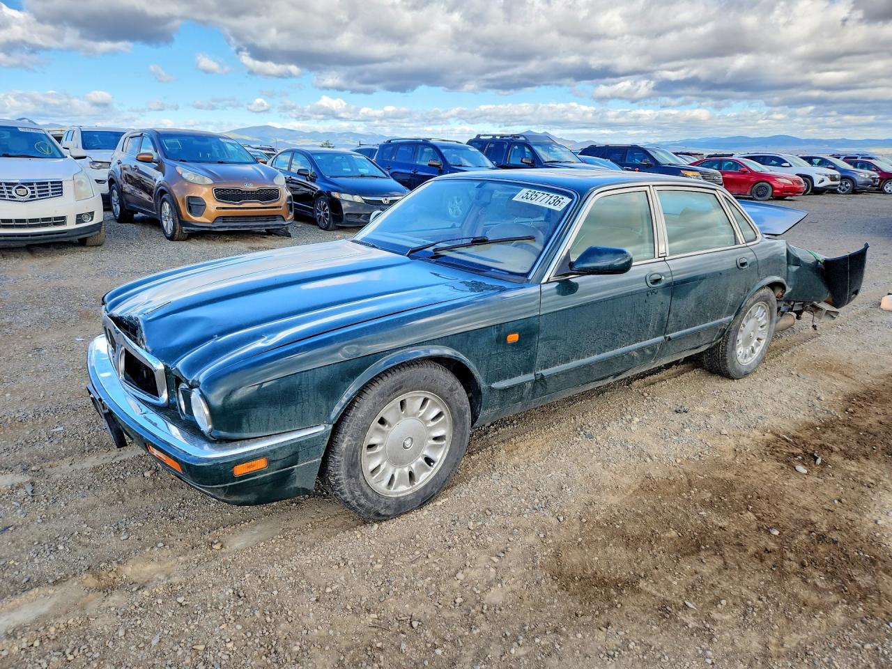 Salvage Jaguar Xj6 Image