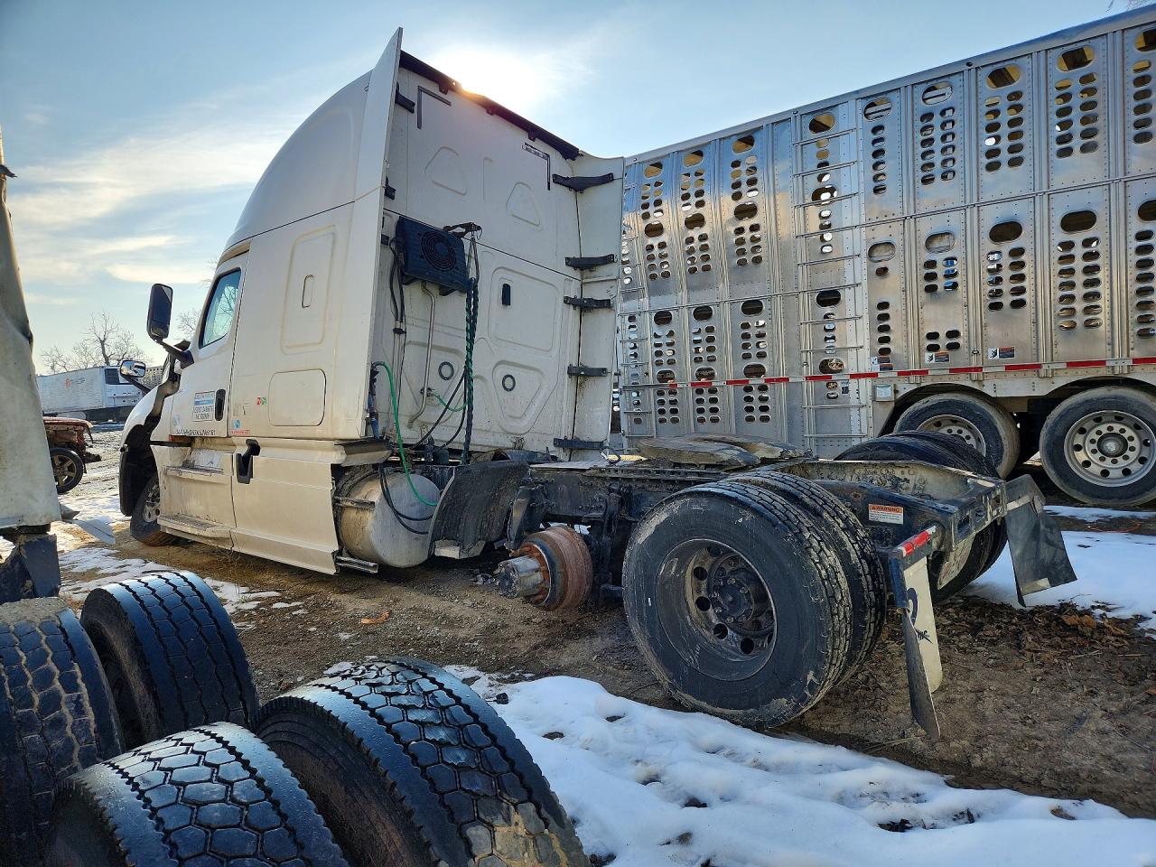 Freightliner Cascadia 126