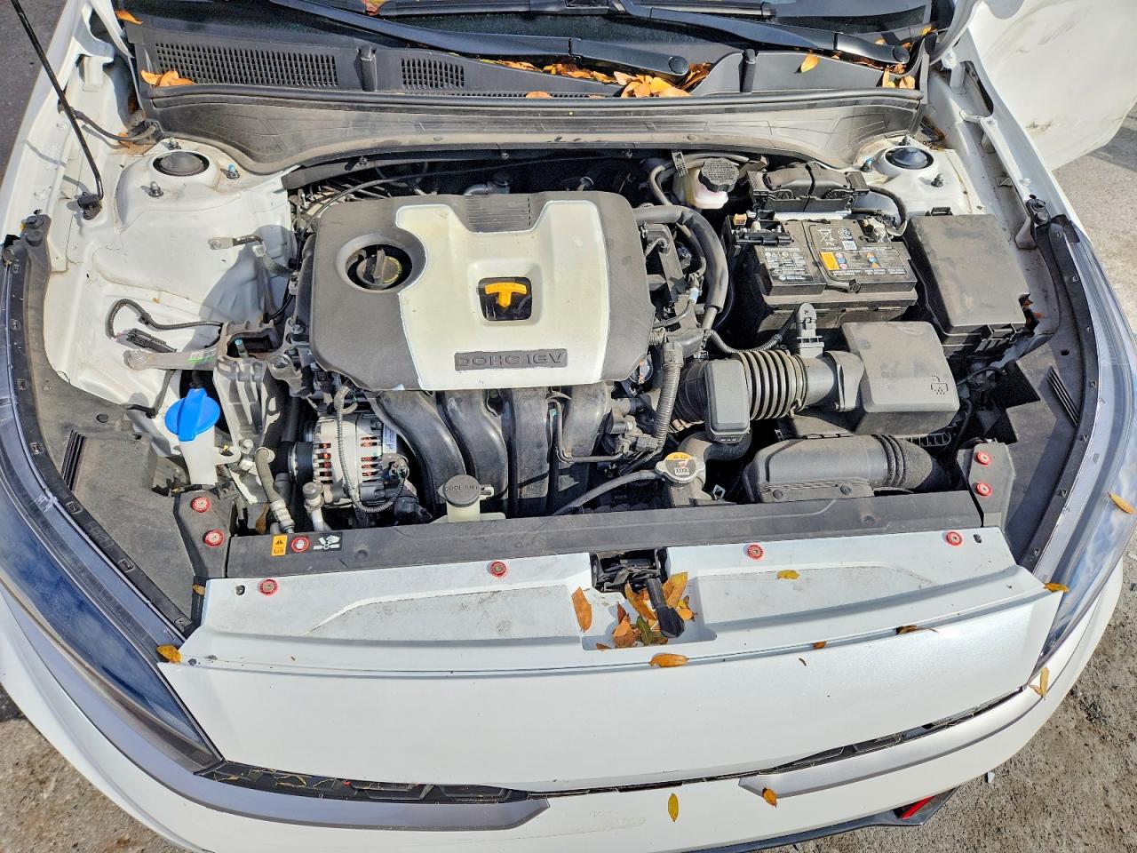 Kia Forte Lxs
