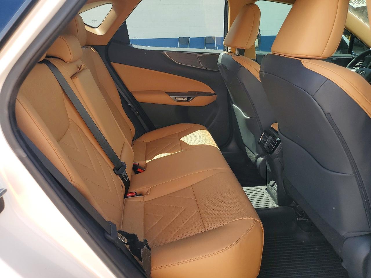 Lexus NX Luxury