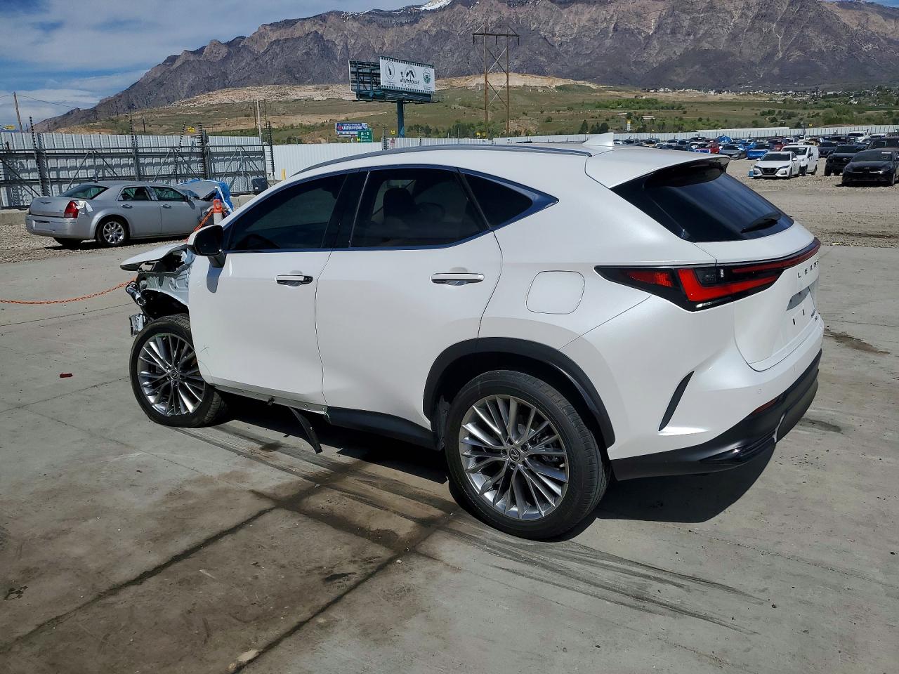 Lexus NX Luxury