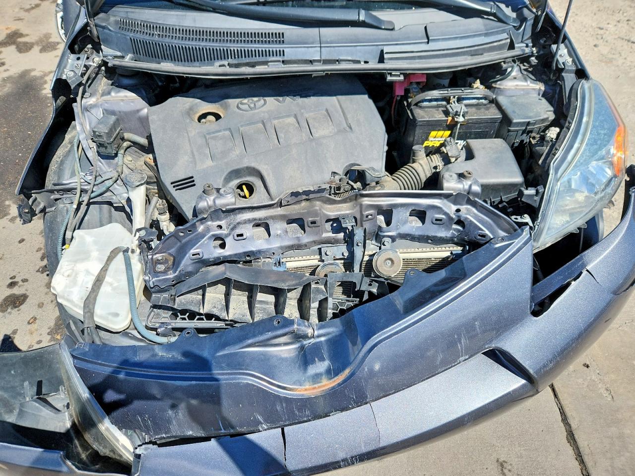 Scion xD Base