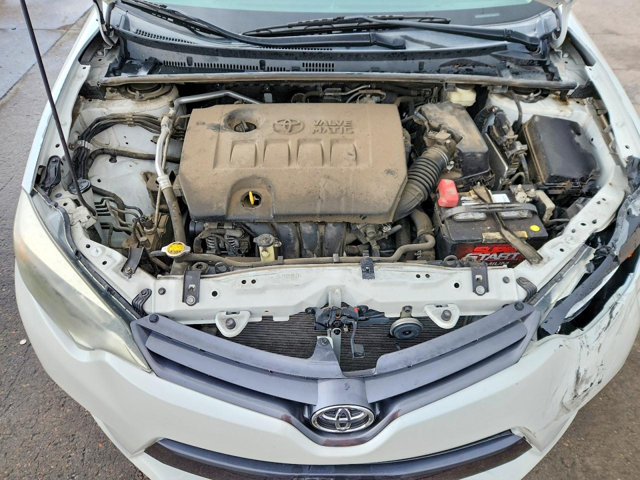 Toyota Corolla Le Eco