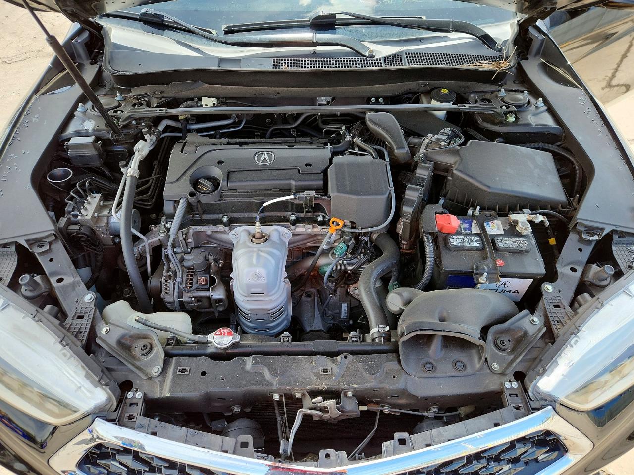 Acura TLX Tech