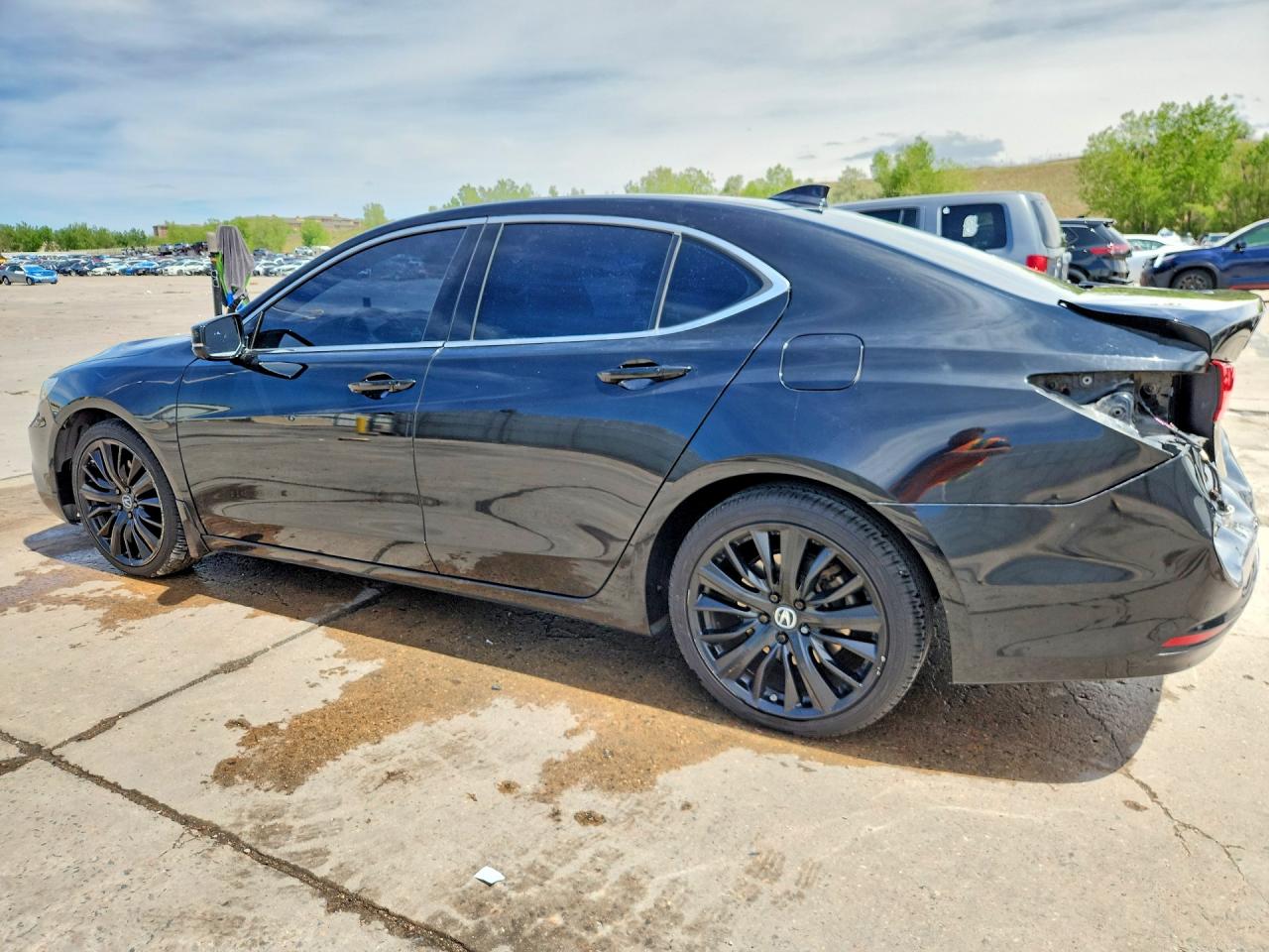 Acura TLX Tech