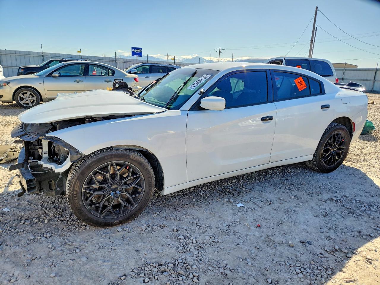 Salvage Dodge Charger Image